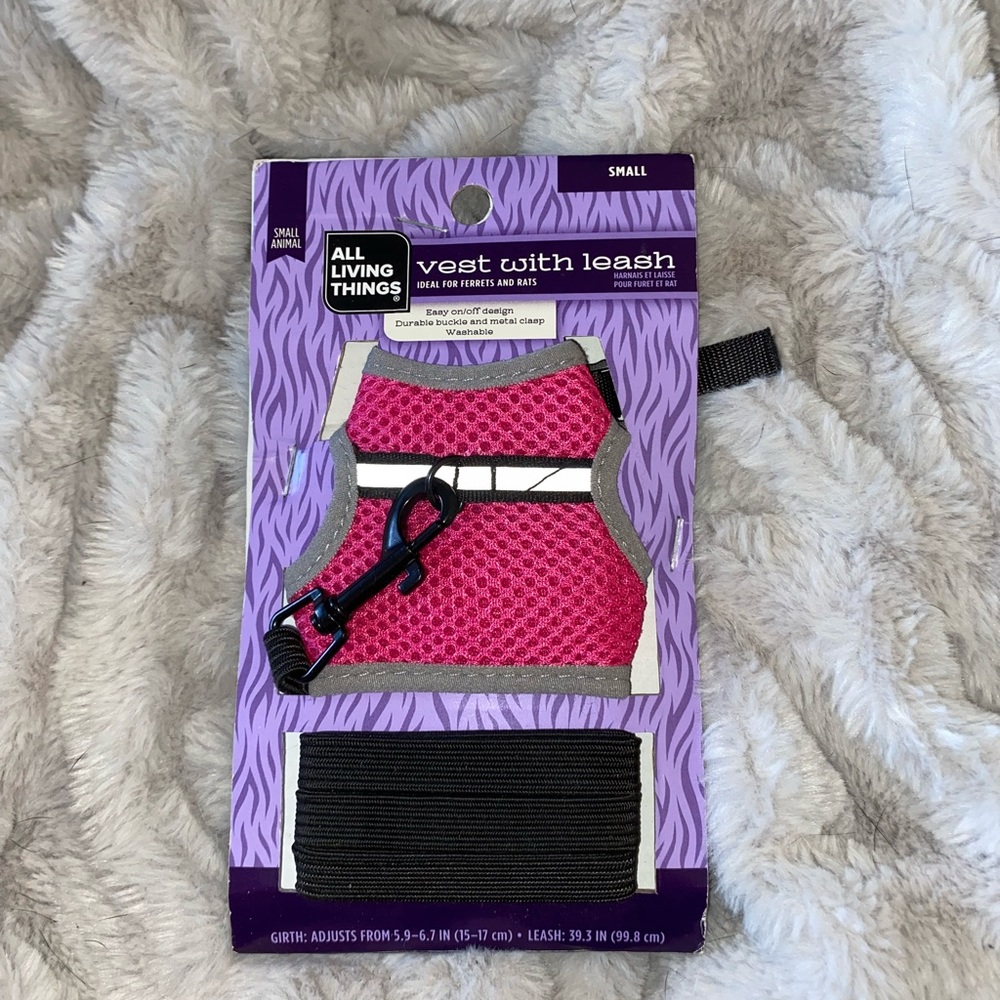 Small vest with leash